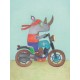Boc de coloraige Graffy Color P'tits bolides - Avenue Mandarine