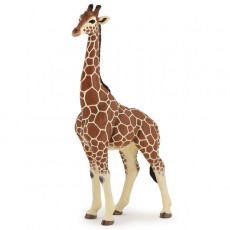 Figurine girafe mâle - Papo